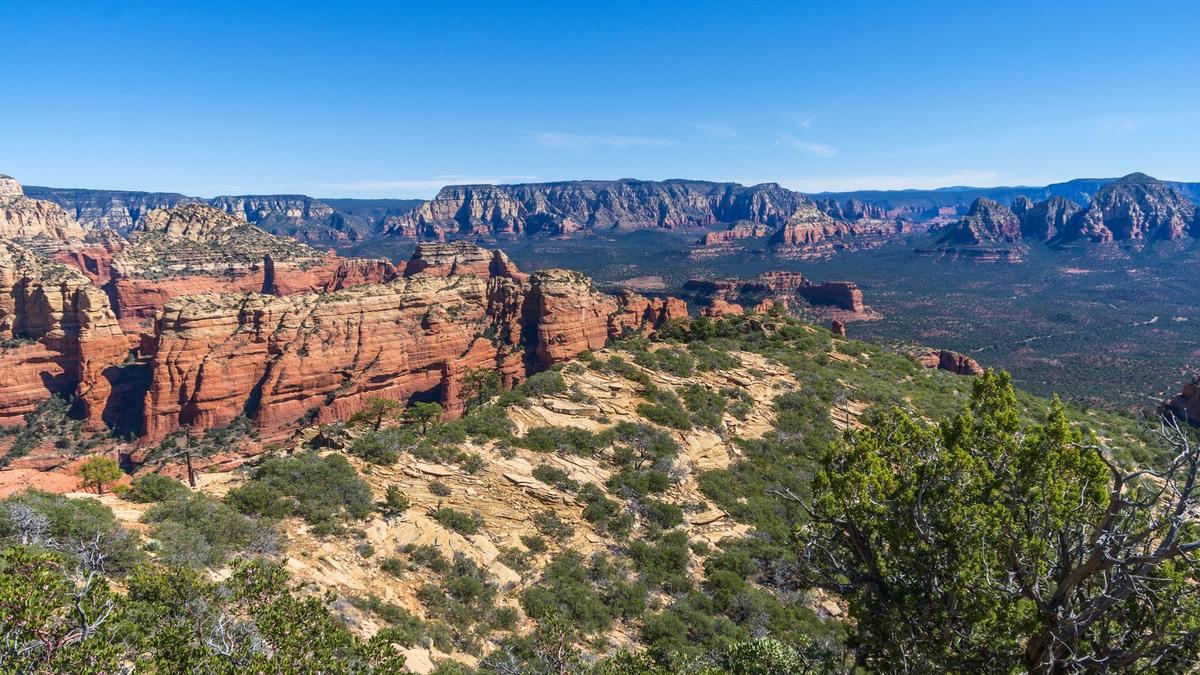 Red rock cliffs and a juniper-covered ridge under a clear blue sky. Photo: Coconino National Forest via Wikimedia Commons, CC0 1.0 (cropped)